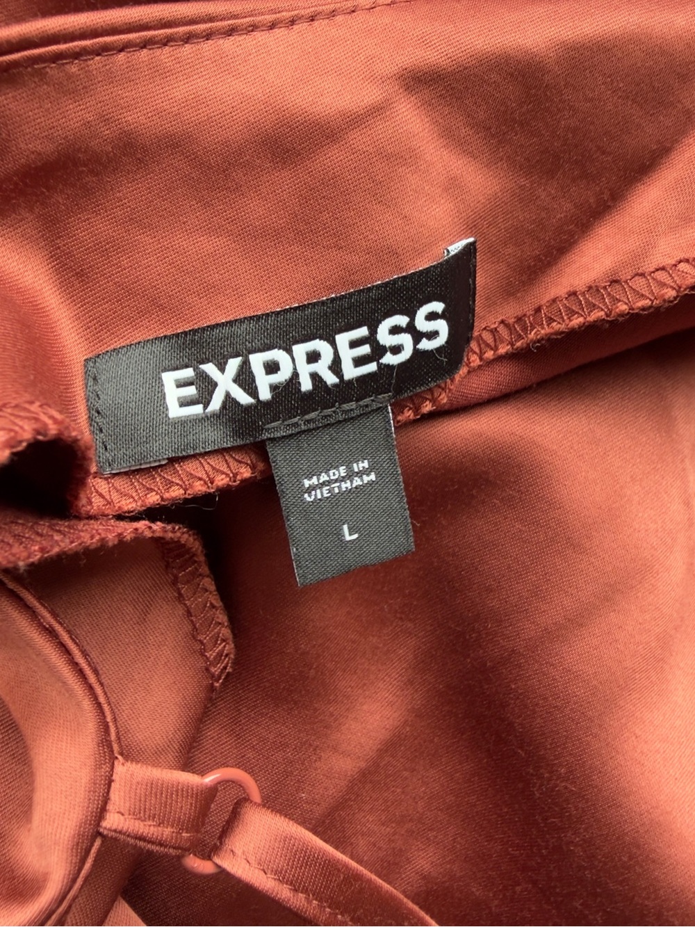 Express Satin Slip Dress in Rust - Picture 5 of 6